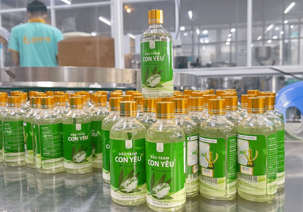 Dầu tràm thiên nhiên và địa chỉ mua dầu tràm uy tín tại Hồ Chí Minh