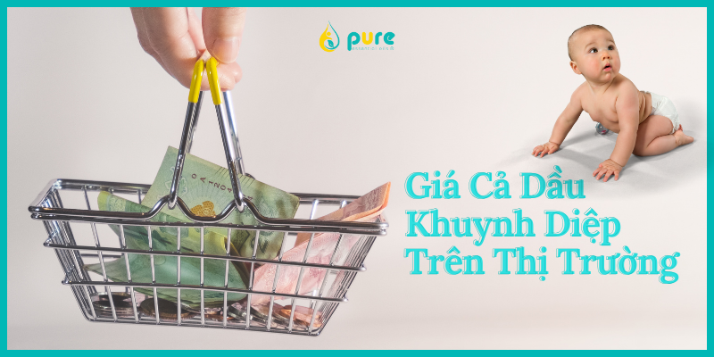 Giá Cả Dầu Khuynh Diệp trên Thị Trường