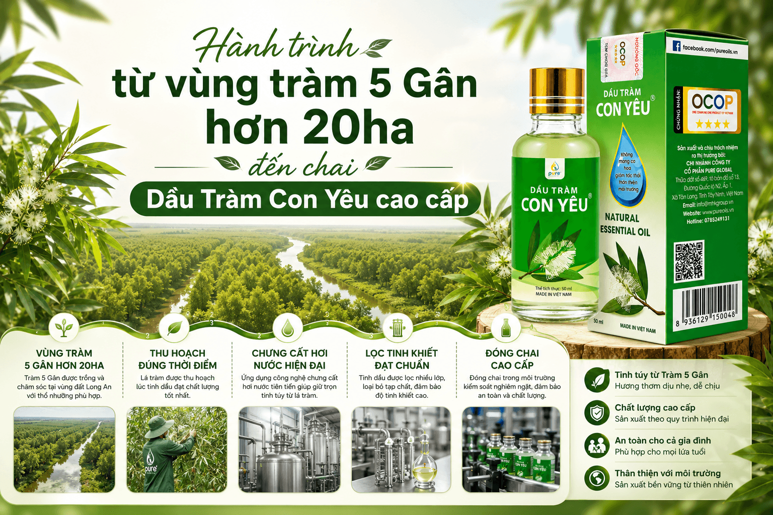 Hành trình từ vùng tràm 5 Gân hơn 20ha đến chai Dầu Tràm Con Yêu cao cấp