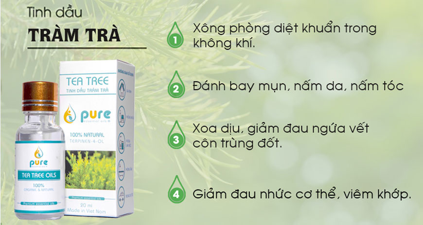 Hiểu rõ về tinh dầu tràm trà và điều thần kỳ phía sau đó