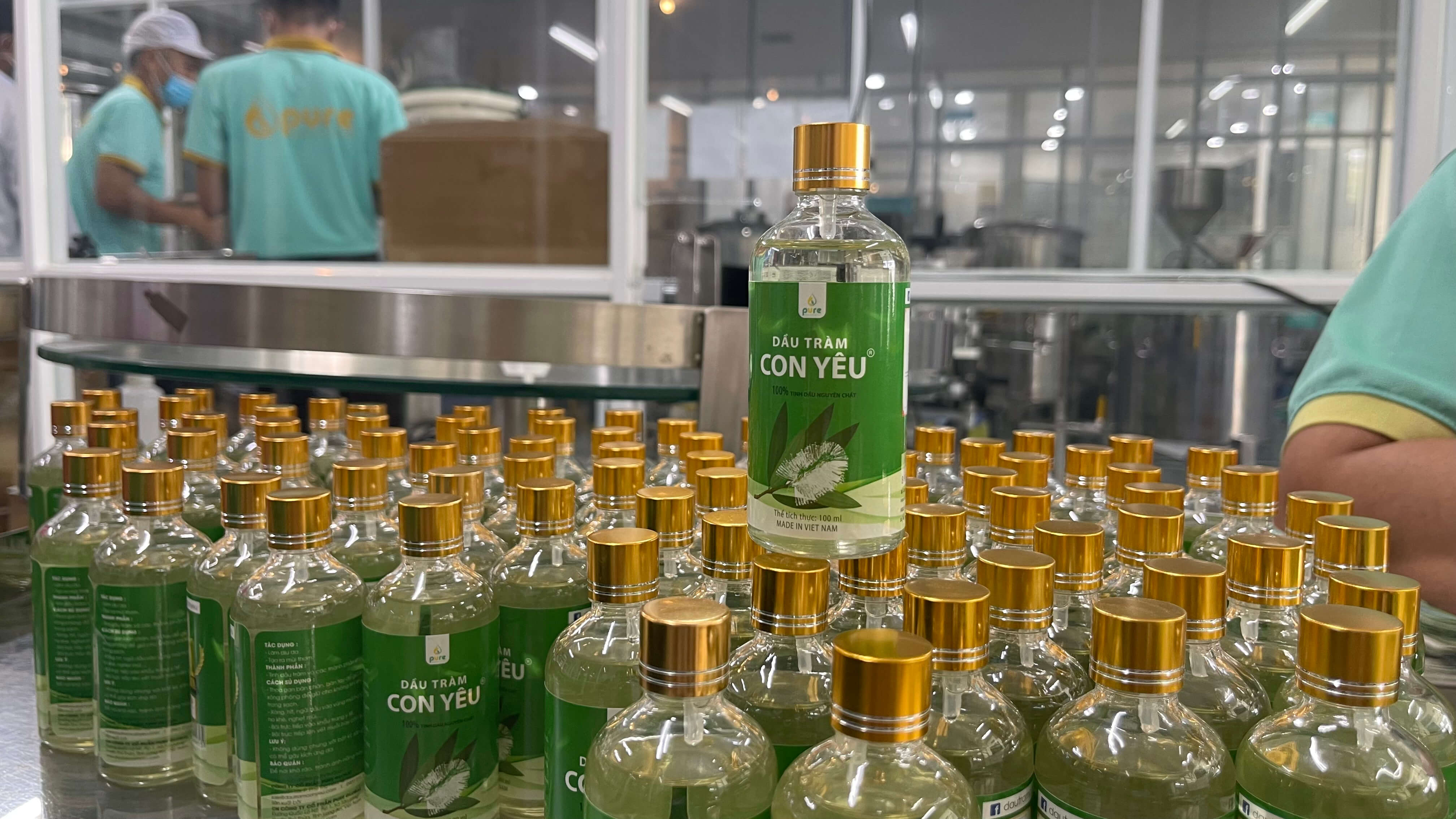 Hướng dẫn sử dụng dầu tràm an toàn cho bà bầu và lợi ích mang lại