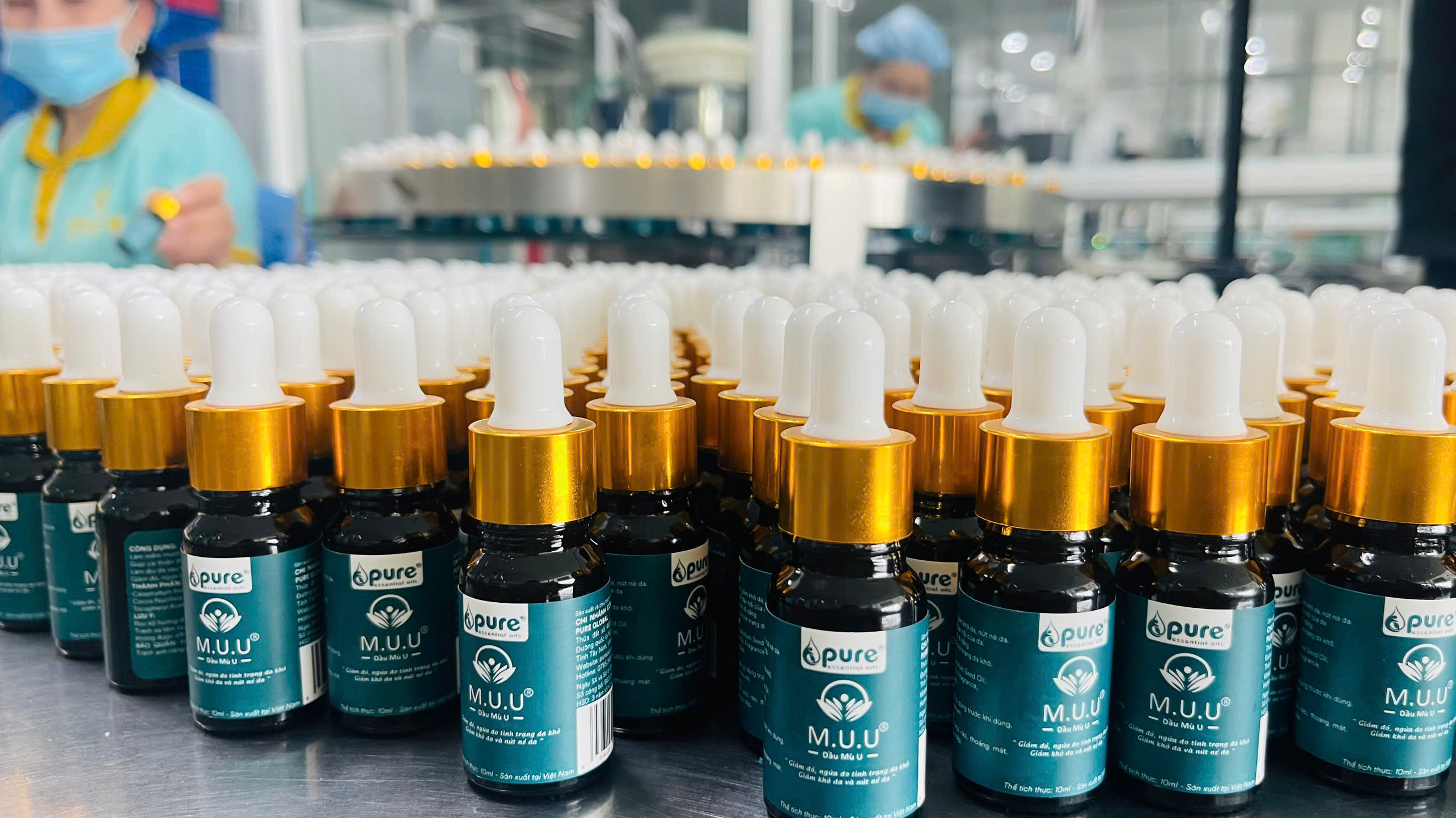 Khám phá 8 công dụng thần kỳ của dầu mù u trong chăm sóc da và trị sẹo