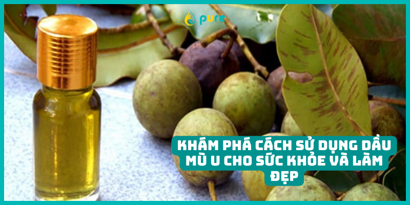 Khám Phá Cách Sử Dụng Dầu Mù U Cho Sức Khỏe Và Làm Đẹp