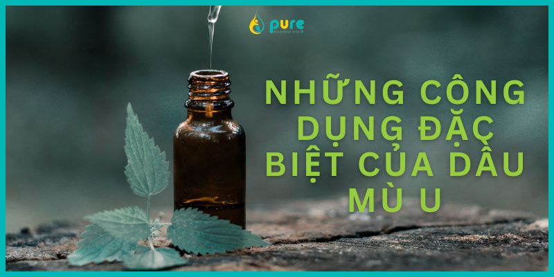Khám Phá Công Dụng Tuyệt Vời của Dầu Mù U Cho Sức Khỏe và Làm Đẹp