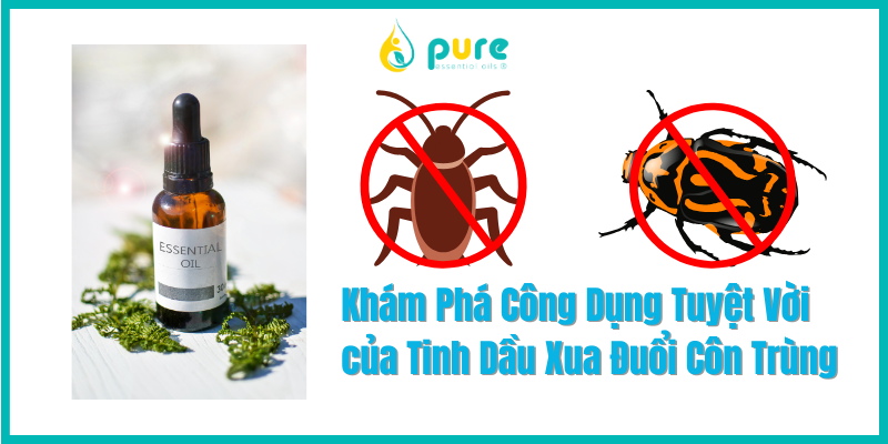 Khám Phá Công Dụng Tuyệt Vời của Tinh Dầu Xua Đuổi Côn Trùng