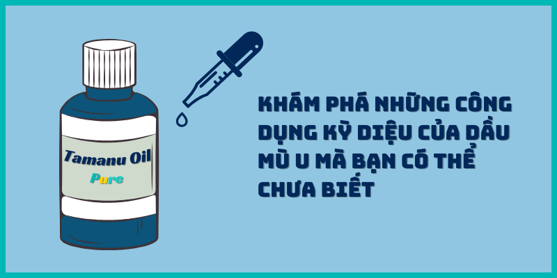 Khám Phá Những Công Dụng Kỳ Diệu Của Dầu Mù U Mà Bạn Có Thể Chưa Biết