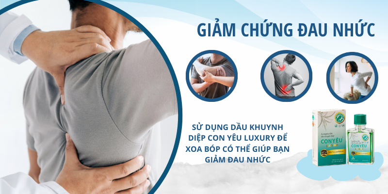 Khám Phá Những Điêu Kỳ Diệu Mà Có Thể Bạn Chưa Biết Về Dầu Khuynh Diệp Con Yêu Luxury