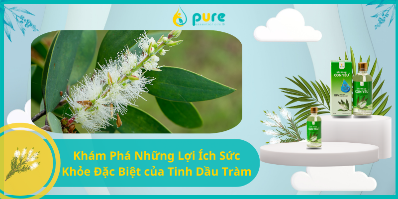 Khám Phá Những Lợi Ích Sức Khỏe Đặc Biệt của Tinh Dầu Tràm
