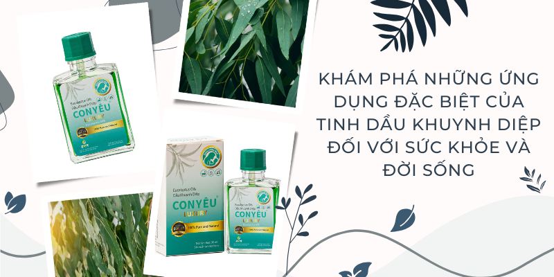 Khám Phá Những Ứng Dụng Đặc Biệt của Tinh Dầu Khuynh Diệp Đối với Sức Khỏe và Đời Sống