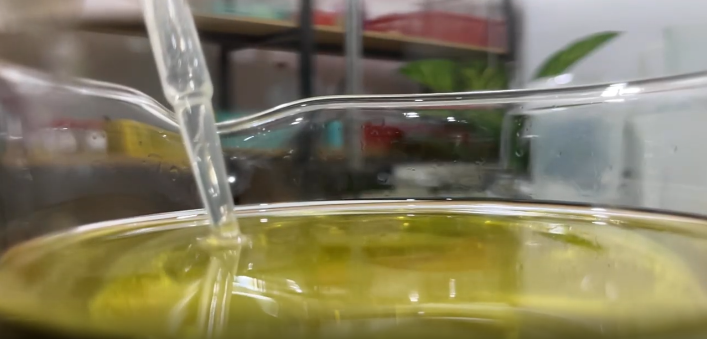 Khi nào dầu tràm được gọi là tinh dầu tràm