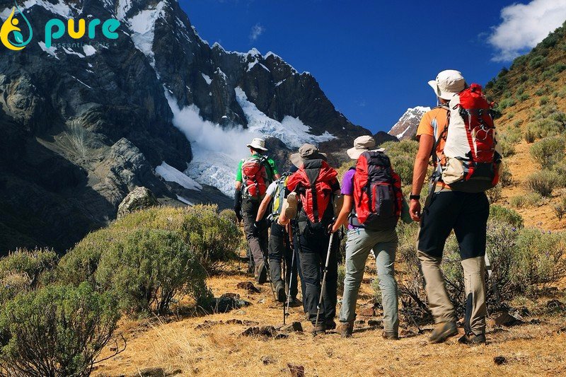 Kinh nghiệm tránh côn trùng đốt khi đi camping. Bạn đã biết chưa?