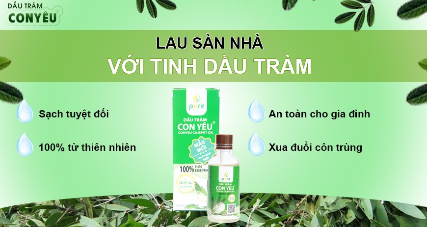 Lau sàn nhà với tinh dầu tràm
