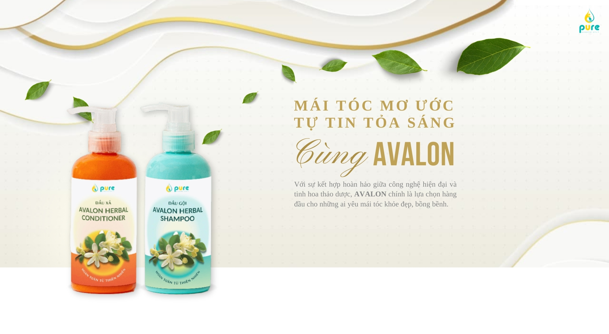 Mái Tóc Mơ Ước, Tự Tin Tỏa Sáng Cùng AVALON