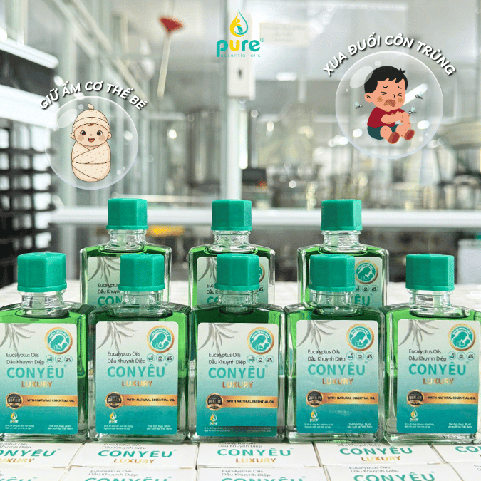 Mẹo dùng dầu khuynh diệp Con Yêu giữ ấm phổi và phòng cảm lạnh cho bé