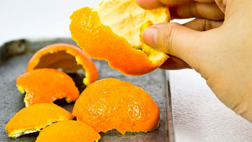 Mẹo đuổi muỗi, ruồi, gián, kiến và một số loại côn trùng