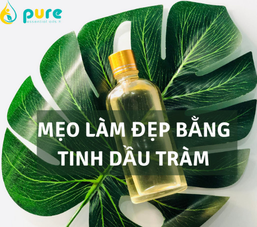 Mẹo làm đẹp bằng tinh dầu tràm trà. Bạn đã biết chưa?