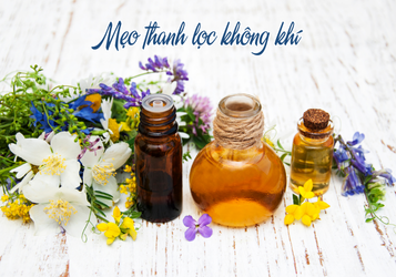 Mẹo nhỏ lọc không khí tại gia đình