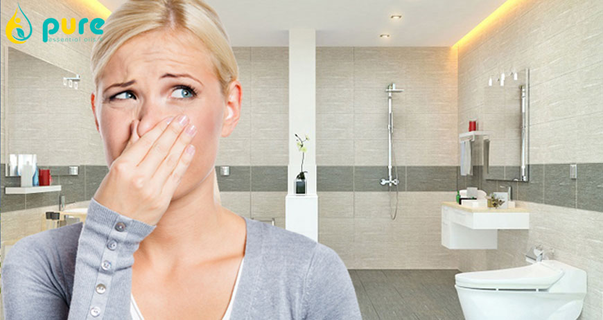 Mẹo Sử Dụng Tinh Dầu Để Khử Mùi Sơn Cho Nhà Mới
