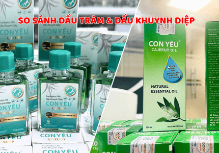 Nên chọn dầu tràm hay dầu khuynh diệp cho bé? So sánh chi tiết