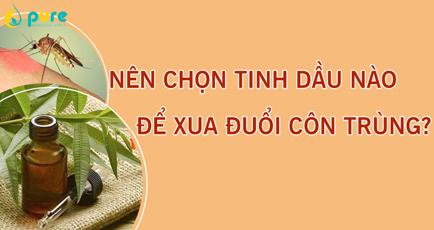 Nên chọn tinh dầu nào để xua đuổi muỗi và côn trùng
