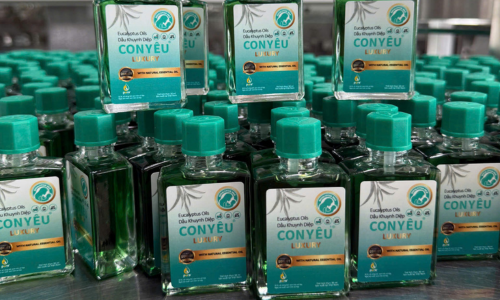 Những công dụng tuyệt vời của dầu khuynh diệp trong việc chăm sóc sức khỏe trẻ nhỏ