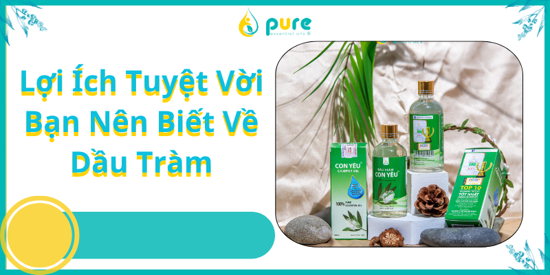 Những Tác Dụng và Lợi Ích Tuyệt Vời Bạn Nên Biết Về Dầu Tràm