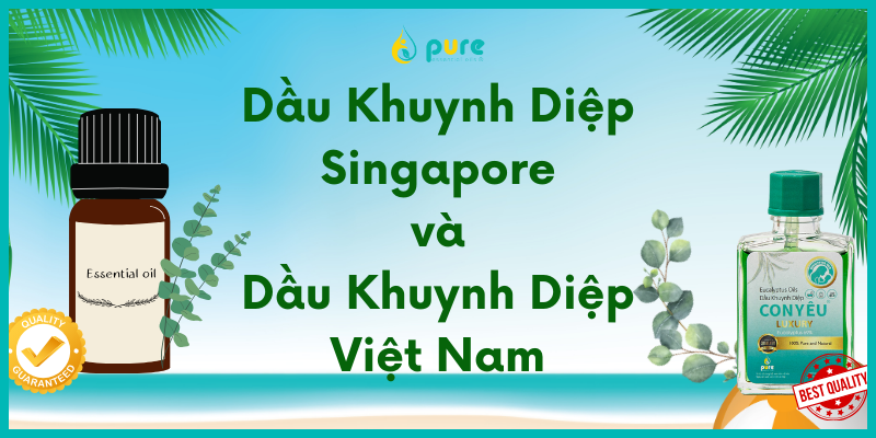 So sánh Dầu Khuynh Diệp Singapore và Dầu Khuynh Diệp Việt Nam: Lựa chọn tốt nhất cho sức khỏe và sự thư giãn