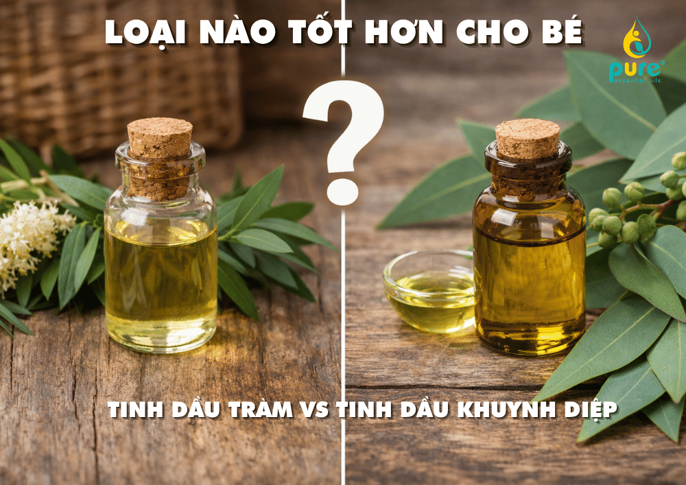 So sánh tinh dầu tràm và tinh dầu khuynh diệp: Loại nào tốt hơn cho bé?