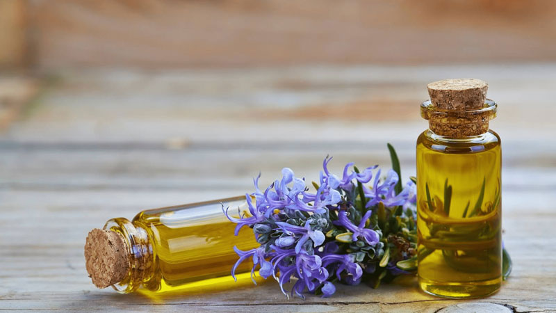 Sử dụng dầu mù u trị mụn trứng cá siêu hiệu quả tại nhà