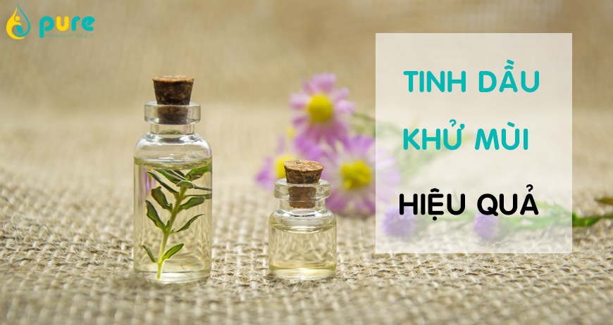 Sử dụng Tinh dầu để khử mùi liệu có thực sự hiệu quả