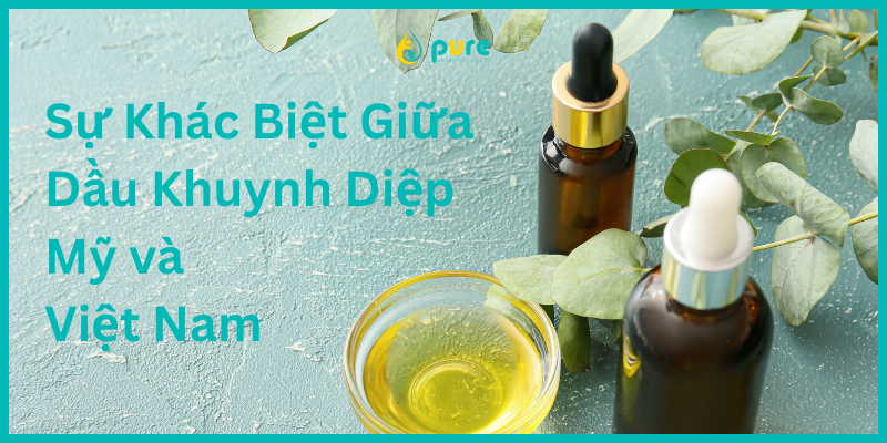 Sự Khác Biệt Giữa Dầu Khuynh Diệp Mỹ và Việt Nam: Phân Tích Điểm Nổi Bật và Chi phí Nhập Khẩu