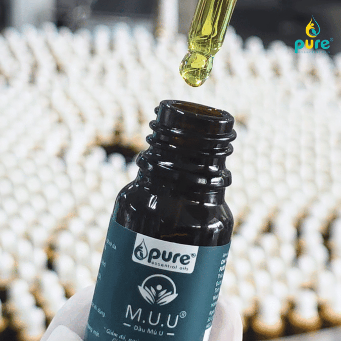 Sự khác biệt giữa Dầu mù u M.U.U ép lạnh và dầu mù u nấu thủ công