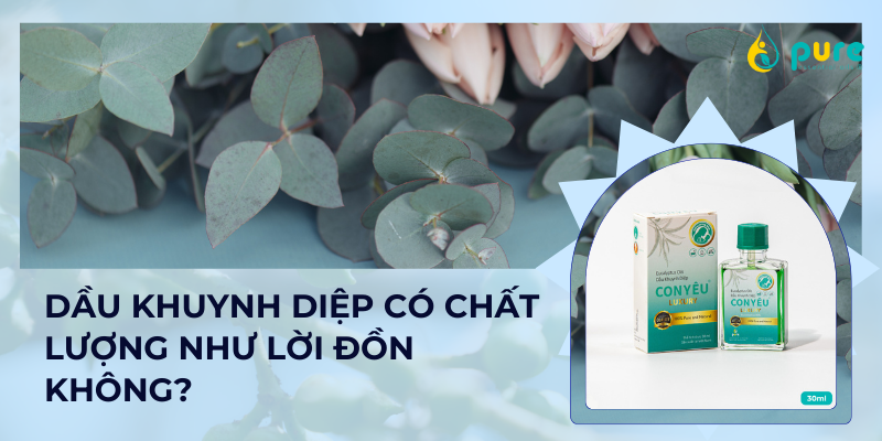 Sự Thật về Chất Lượng của Dầu Khuynh Diệp
