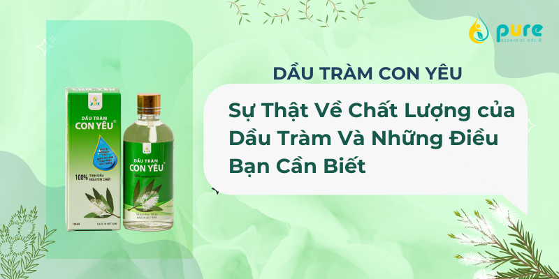 Sự Thật Về Chất Lượng Của Dầu Tràm và Những Điều Bạn Cần Biết