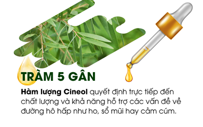 Sức mạnh kháng khuẩn dịu nhẹ từ tinh dầu tràm 5 gân