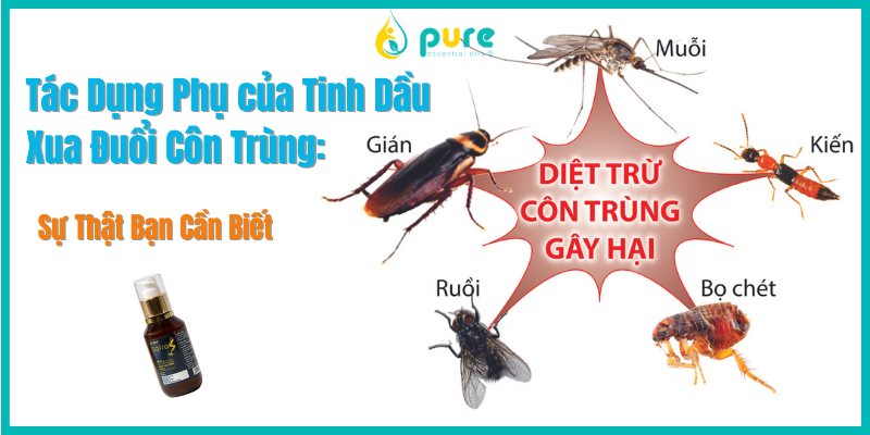 Tác Dụng Phụ của Tinh Dầu Xua đuổi côn trùng