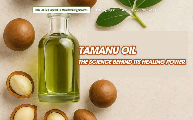 Tamanu Oil - The Science Behind Its Healing Power
