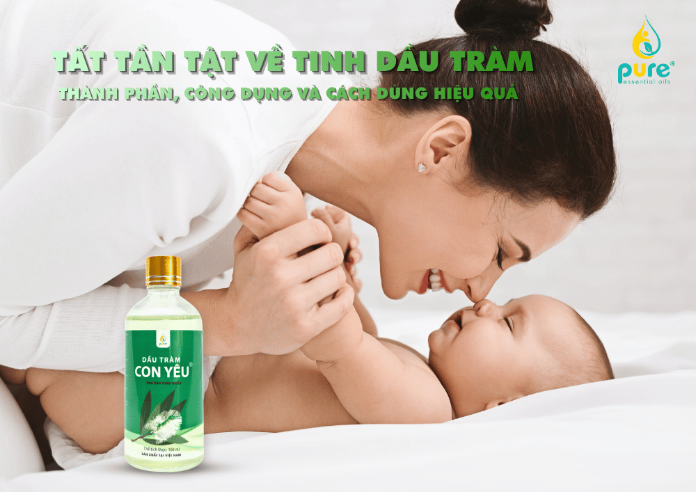 Tất tần tật về tinh dầu tràm: Thành phần, công dụng và cách dùng hiệu quả