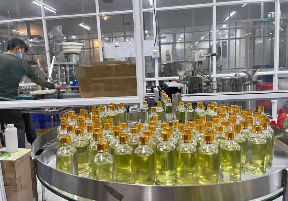 Thế nào là dầu tràm thiên nhiên đạt chuẩn