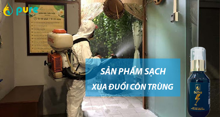 Thuốc xịt côn trùng trong nhà