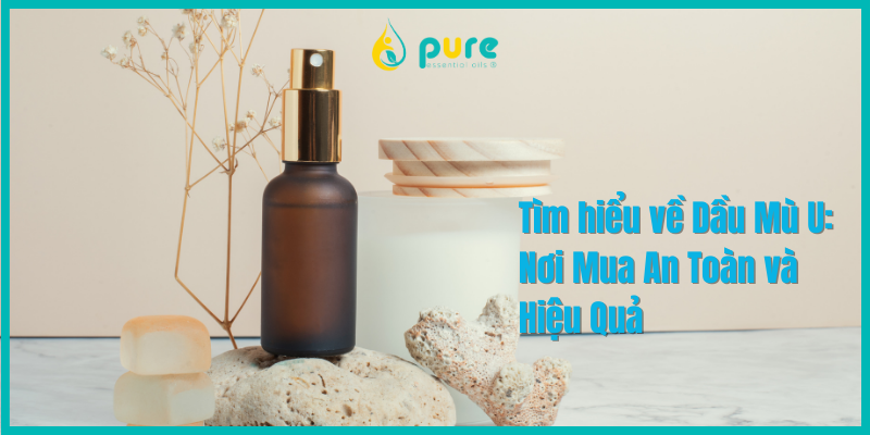 Tìm hiểu về Dầu Mù U: Nơi Mua An Toàn và Hiệu Quả