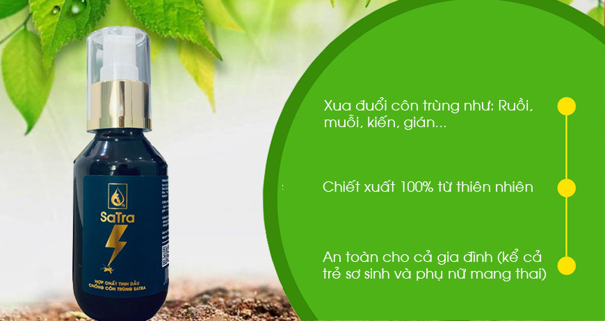 Tinh dầu đuổi côn trùng