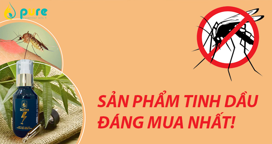 Tinh dầu đuổi muỗi