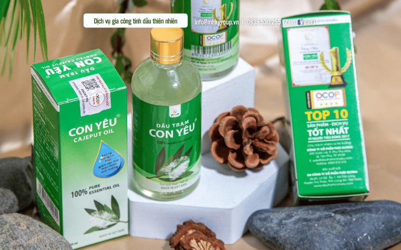 Tinh dầu tràm có tác dụng gì? Hướng dẫn sử dụng an toàn tại nhà