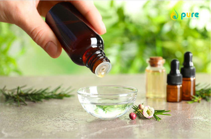 Tinh dầu tràm trà - Khắc tinh của các loại mụn