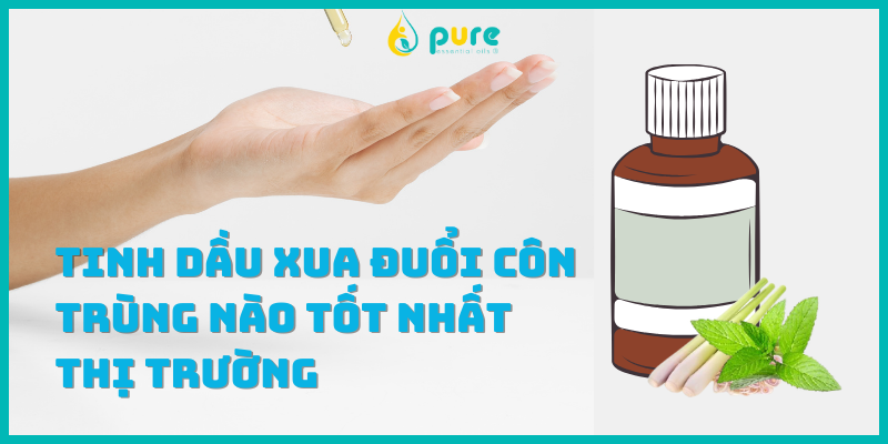 Tinh dầu xua đuổi côn trùng nào tốt nhất thị trường