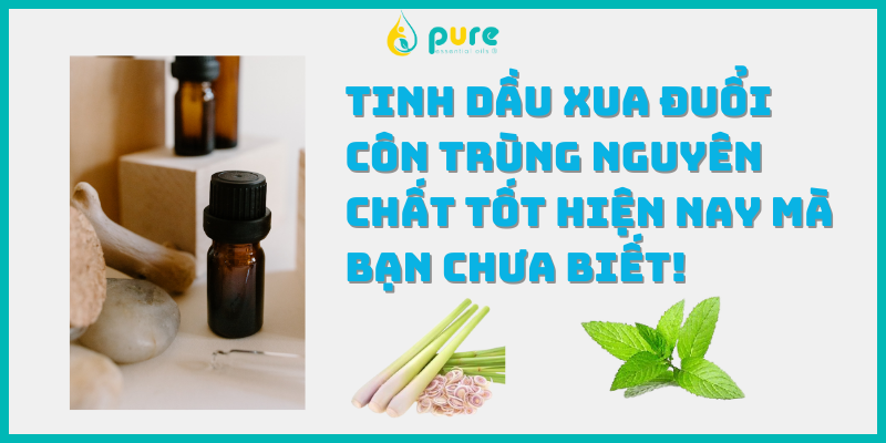 Tinh dầu xua đuổi côn trùng nguyên chất tốt hiện nay mà bạn chưa biết