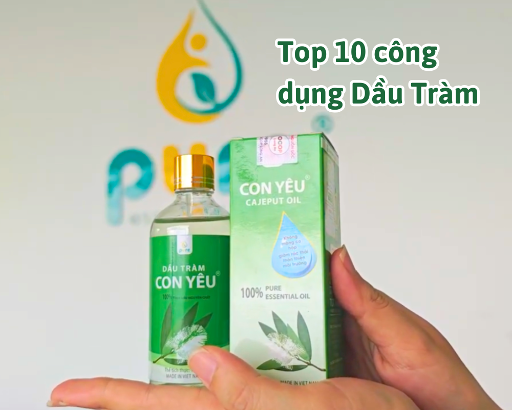 Top 10 công dụng tuyệt vời mà dầu tràm mang lại.
