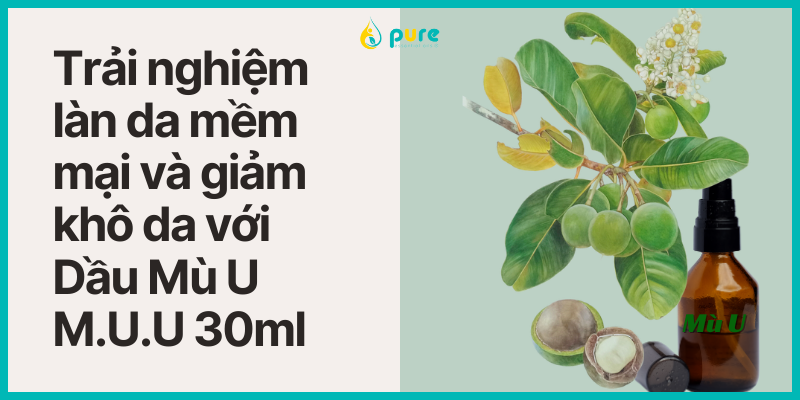 Trải nghiệm làn da mềm mại và giảm khô da với Dầu Mù U M.U.U 30ml