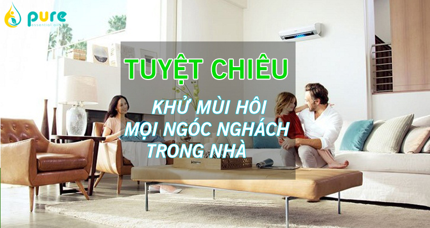 Tuyệt chiêu khử mùi hôi giúp nhà luôn sạch sẽ, thơm mát